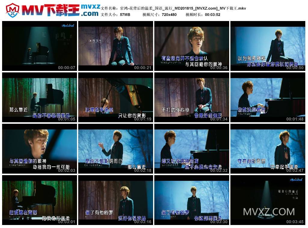 官鸿-花背后的温柔_国语_流行_MD201815